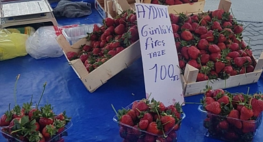 Çilek fiyatları tavan yaptı: yiyebilene aşk olsun!