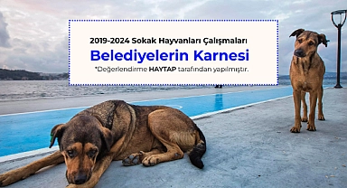 HAYTAP belediyeleri puanladı: Çanakkale'ye 4 puan!
