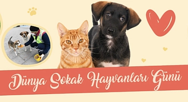 "Kentimiz, can dostlarımızla daha güzel"