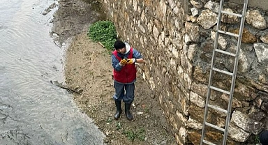 Yaralı Karga Çay'dan kurtarıldı