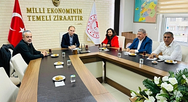 Ayvacık'ta tarıma dayalı ihtisas sera bölgesi kuruluş süreci başladı