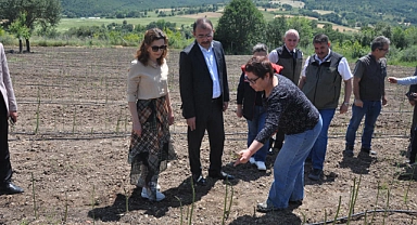 "Biga'da ilk kuşkonmaz üreticisi ziyaret edildi"