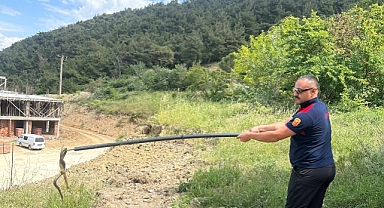 Trafoya giren yılan doğal yaşam alanına bırakıldı