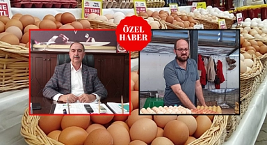 Yumurta fiyatları hızla düşüyor: iç pazarda büyük değişim