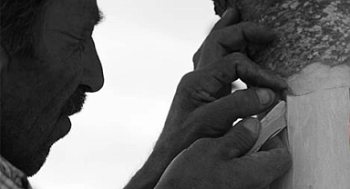 Aşılama Projesi'ne, Ayvacık'ta başlandı