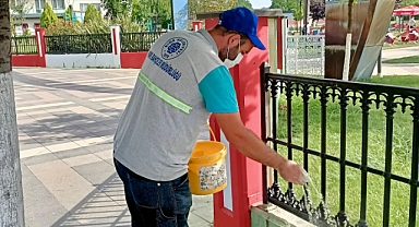 Biga'da haşerelere karşı mücadele