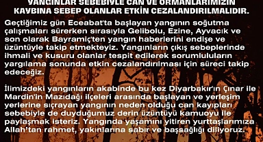 Çanakkale Barosu'ndan çağrı: Yangınlar sebebiyle zarar görenler adalet istiyor