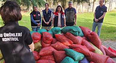 Çanakkale'de 3 ton kaçak Kum Şırlanı ele geçirildi