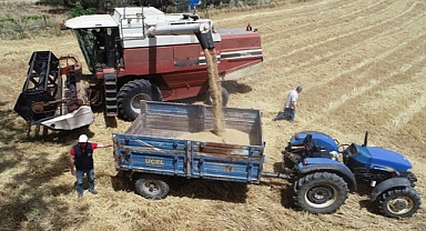 Çanakkale'de arpa çeşitleri hasat edildi
