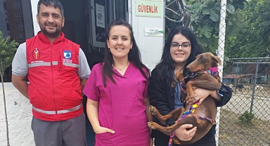 Çanakkale'de sokak hayvanları için çalışmalar devam ediyor