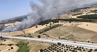 Çanakkale'de yangına müdahale devam ediyor!