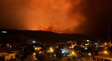 Diyarbakır ve Mardin'de yangın!