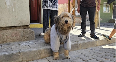 Fevzipaşa'nın sevimli maskotu Paşa gülümsetti