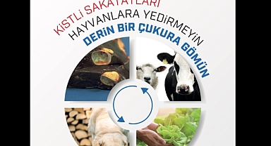 Kist hidatikten korunma yolları