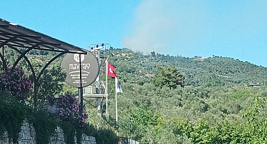 Küçükkuyu’da yangın!