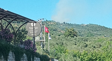 Küçükkuyu’da yangın kontrol altına alındı