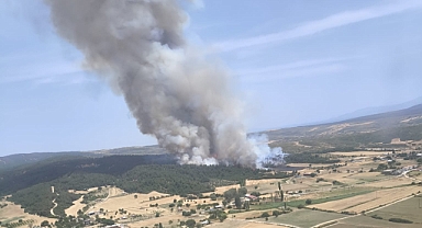 Kumköy'de yangınla mücadele devam ediyor
