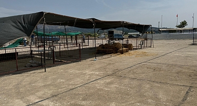 Kurban kesim alanı hizmete hazır