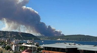 Milletvekili Güneşhan'dan yangın sonrası açıklama
