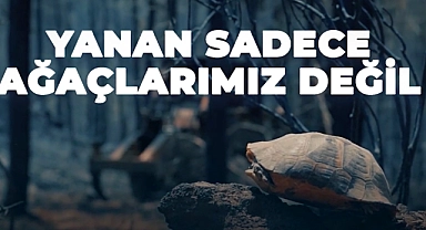 Sıcak hava ve orman yangınları uyarısı