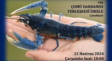 Türkiye’de bir ilk!