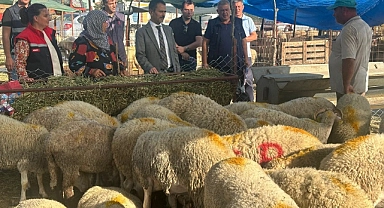 Vali Aktaş’tan canlı hayvan pazarına ziyaret
