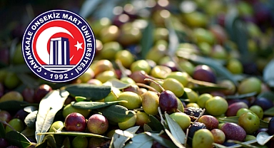 Zeytin üretiminde ÇOMÜ’den önemli adım