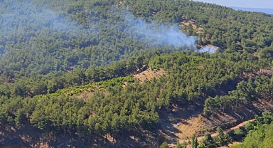Alakeçi Köyü'nde yangın