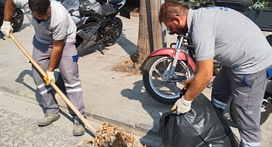 Çanakkale'de ızgara temizliği
