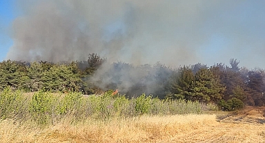 Çanakkale Valiliği'nden orman yangınlarına karşı uyarı