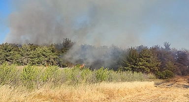 Çanakkale Valiliği'nden orman yangınlarına karşı uyarı