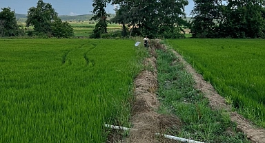 "Çeltikte Agroekosistem Proje Yönetimi Projesi" çalışmaları