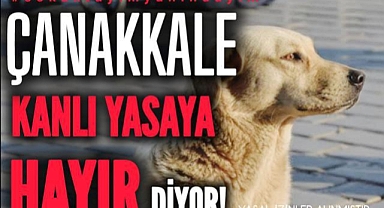 Hayvanseverlerden oturma eylemi!