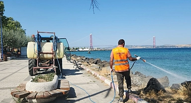 Lapseki Belediyesi, şehir genelinde temizlik ve düzenleme çalışmalarını sürdürüyor