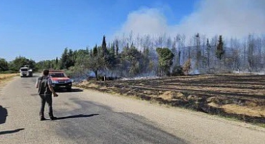 AKUT, Gelibolu'daki orman yangınına destek için operasyona çıktı