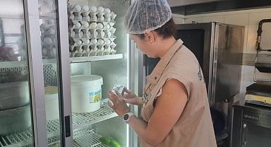 Çanakkale'de işletmelere denetimler devam ediyor