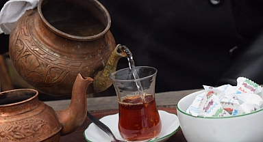 Çayın keşfi ve Türkiye'ye gelişi