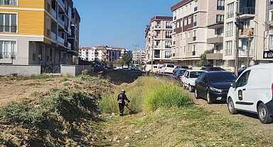 Lapseki'de temizlik ve bakım çalışmaları