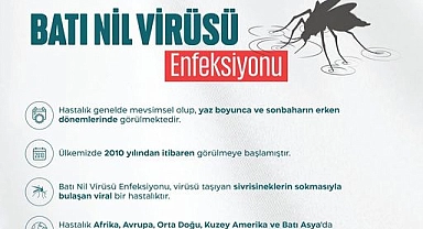 Türkiye'de Batı Nil Virüsü Enfeksiyonu tespit edildi
