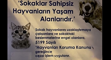 Bozcaada Belediyesi sokak hayvanlarının yanında