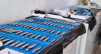 Çanakkale’de hamsi avcılığına yönelik denetimler devam ediyor