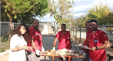 Çanakkale'de örnek davranış