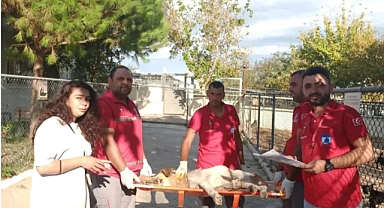 Çanakkale'de örnek davranış