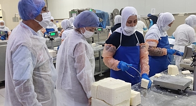 Çanakkale'de süt ve süt ürünleri üreten işletmelere sıkı denetim