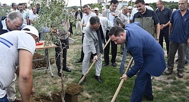 Çavuşköy hünnabı dikildi