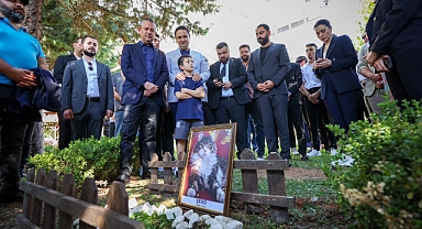 CHP'nin kedisi Şero hayatını kaybetti