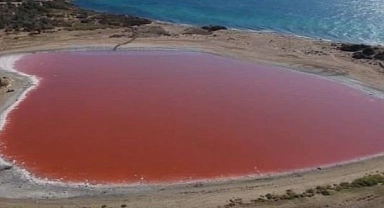 Dünya’da sadece 8 tane var: Dalyan Gölü pembeye döndü