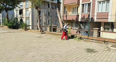 Gelibolu’da okul bahçelerinde yabani ot temizliği yapıldı