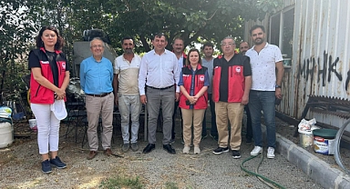 Gökçeada'da Sultani çekirdeksiz üzüm bağ bozumu gerçekleşti