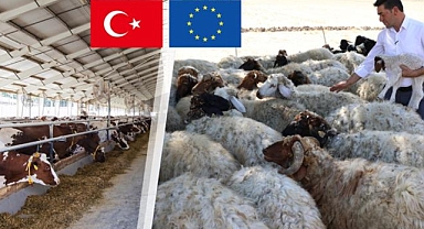 IPARD II Programı kapsamında 51 projeye 221 Milyon Lira hibe desteği